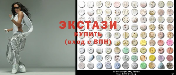 гашик Алексин