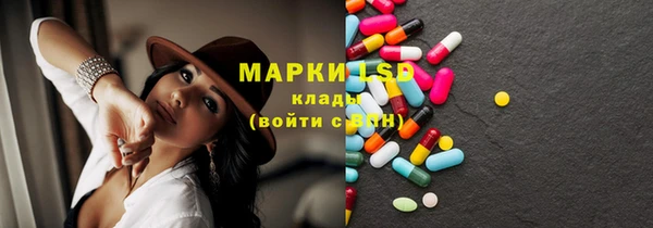 гашик Алексин