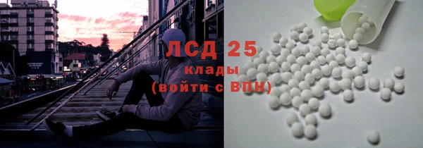 гашик Алексин