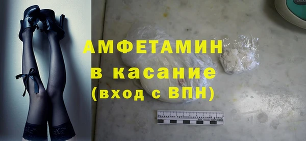 гашик Алексин
