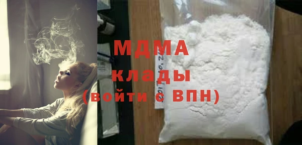 гашик Алексин