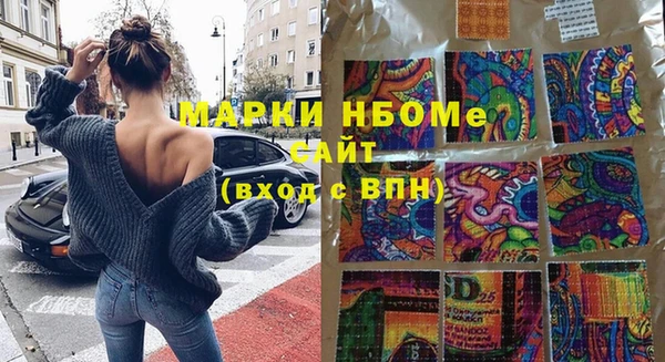 гашик Алексин