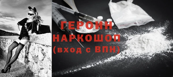 гашик Алексин