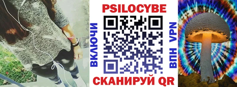 Псилоцибиновые грибы Cubensis  Абакан 