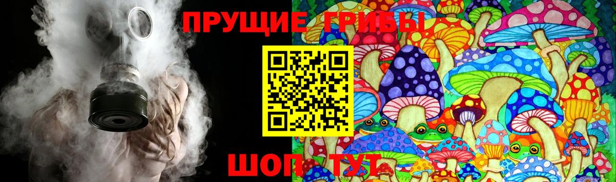 Абакан  Галлюциногенные грибы Psilocybe  Вход с VPN 